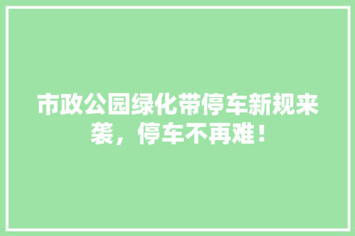 市政公园绿化带停车新规来袭，停车不再难！