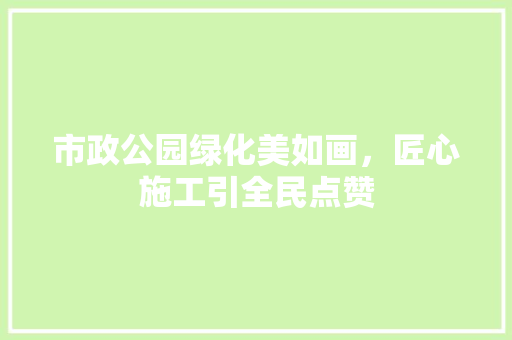市政公园绿化美如画，匠心施工引全民点赞