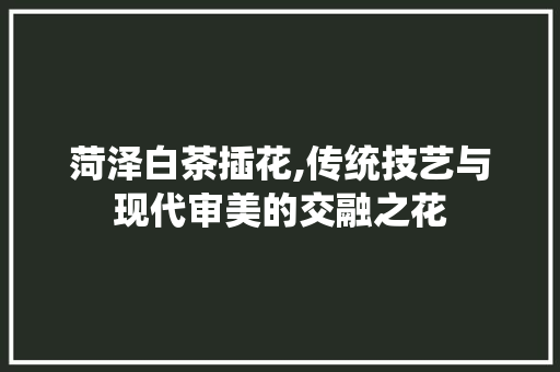 菏泽白茶插花,传统技艺与现代审美的交融之花