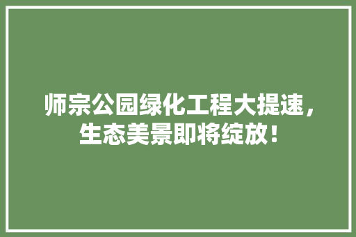 师宗公园绿化工程大提速，生态美景即将绽放！