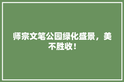 师宗文笔公园绿化盛景，美不胜收！