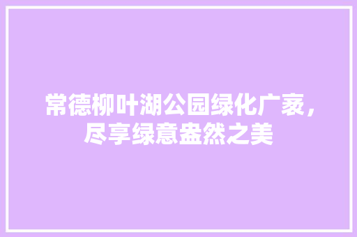 常德柳叶湖公园绿化广袤，尽享绿意盎然之美