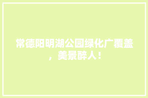 常德阳明湖公园绿化广覆盖，美景醉人！