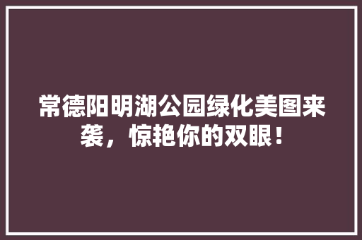 常德阳明湖公园绿化美图来袭，惊艳你的双眼！