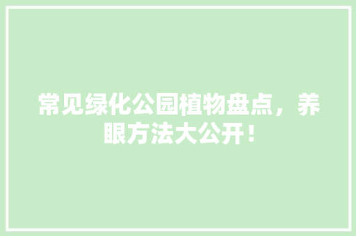 常见绿化公园植物盘点，养眼方法大公开！
