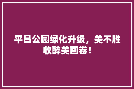 平昌公园绿化升级，美不胜收醉美画卷！