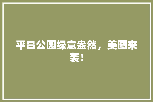 平昌公园绿意盎然，美图来袭！