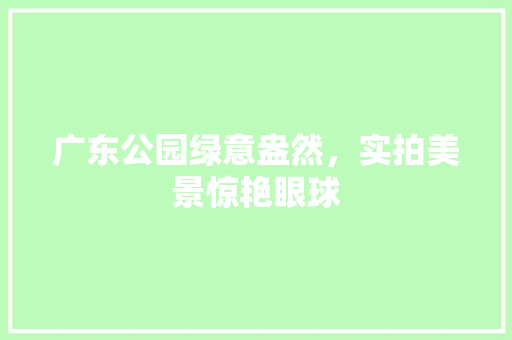 广东公园绿意盎然，实拍美景惊艳眼球