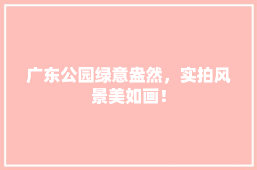 广东公园绿意盎然，实拍风景美如画！