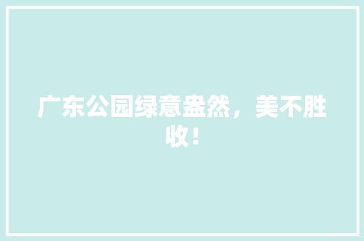 广东公园绿意盎然，美不胜收！