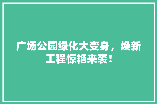 广场公园绿化大变身，焕新工程惊艳来袭！