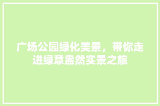 广场公园绿化美景，带你走进绿意盎然实景之旅