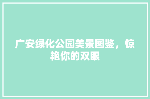 广安绿化公园美景图鉴，惊艳你的双眼