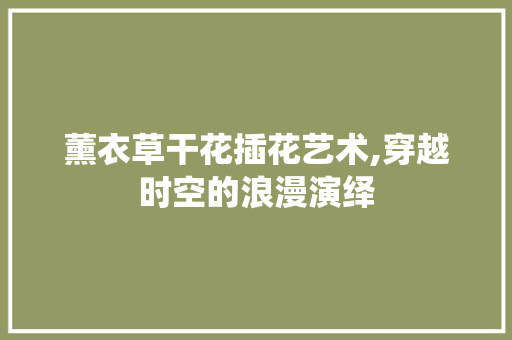 薰衣草干花插花艺术,穿越时空的浪漫演绎