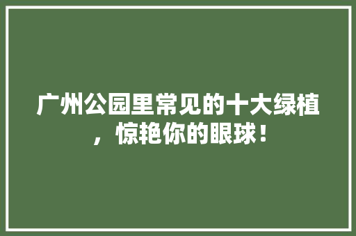 广州公园里常见的十大绿植，惊艳你的眼球！