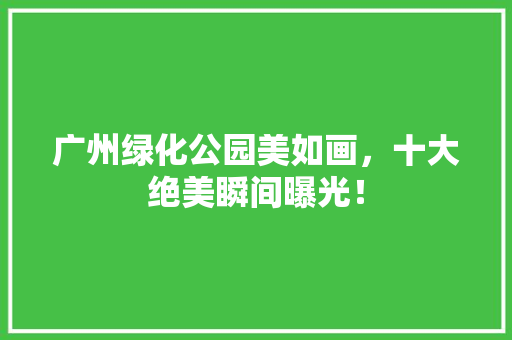 广州绿化公园美如画，十大绝美瞬间曝光！