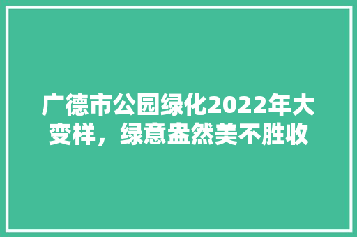 广德市公园绿化2022年大变样，绿意盎然美不胜收