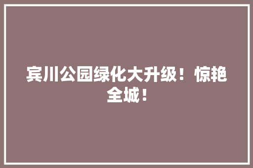 宾川公园绿化大升级！惊艳全城！