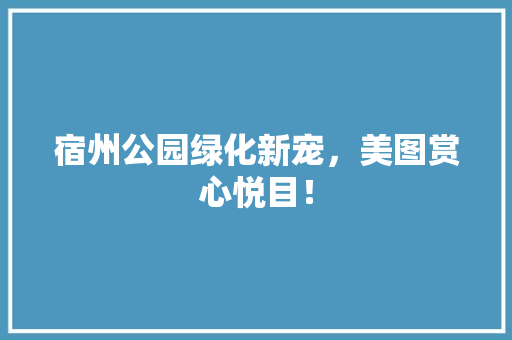 宿州公园绿化新宠，美图赏心悦目！