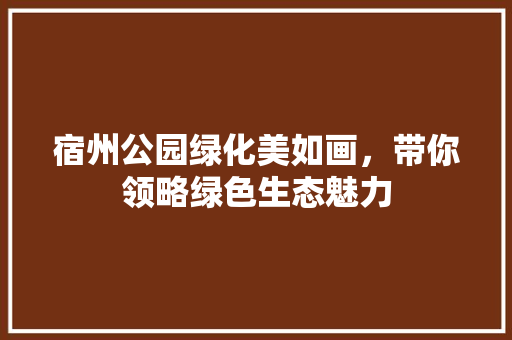 宿州公园绿化美如画，带你领略绿色生态魅力