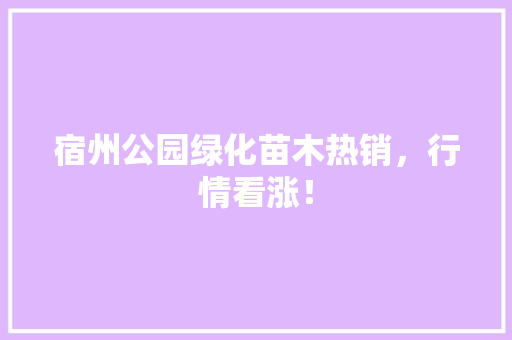 宿州公园绿化苗木热销，行情看涨！