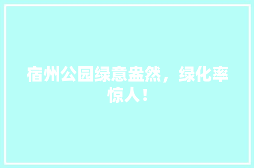 宿州公园绿意盎然，绿化率惊人！