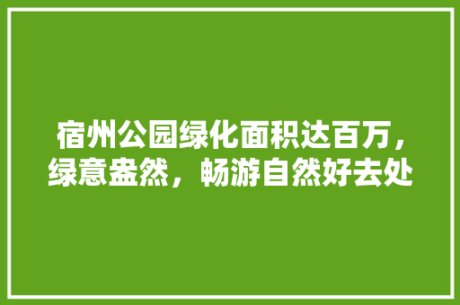 宿州公园绿化面积达百万，绿意盎然，畅游自然好去处