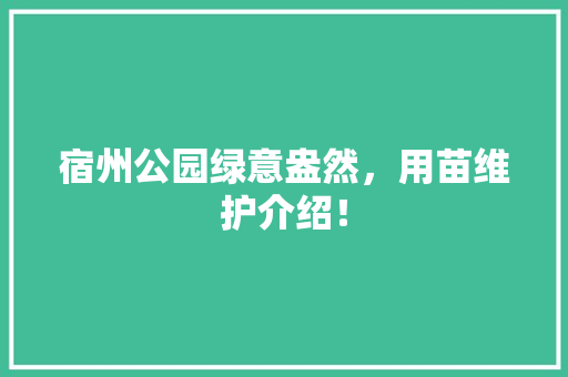 宿州公园绿意盎然，用苗维护介绍！