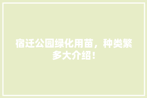 宿迁公园绿化用苗，种类繁多大介绍！