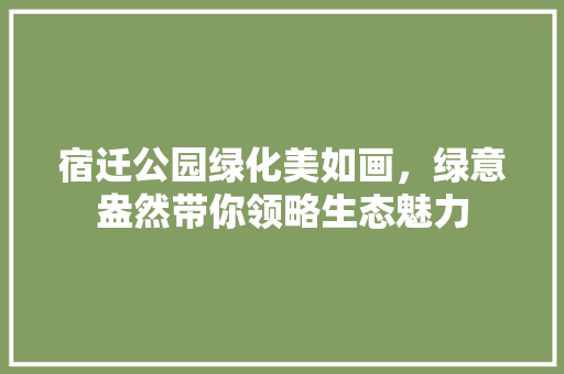 宿迁公园绿化美如画，绿意盎然带你领略生态魅力