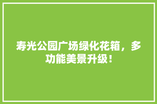 寿光公园广场绿化花箱，多功能美景升级！