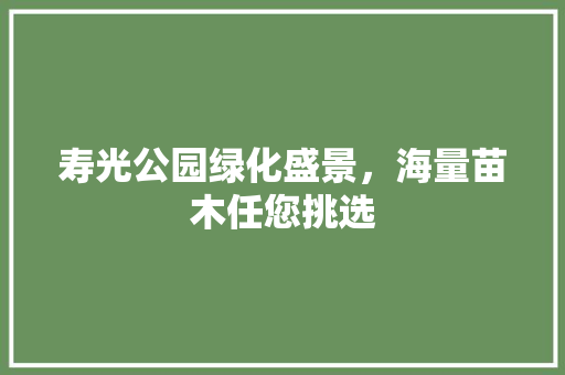 寿光公园绿化盛景，海量苗木任您挑选