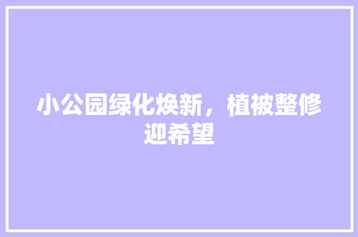 小公园绿化焕新，植被整修迎希望
