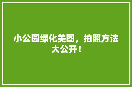 小公园绿化美图，拍照方法大公开！