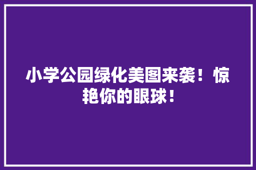 小学公园绿化美图来袭！惊艳你的眼球！