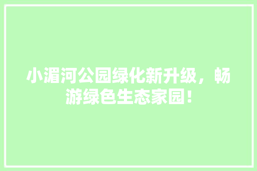 小湄河公园绿化新升级，畅游绿色生态家园！