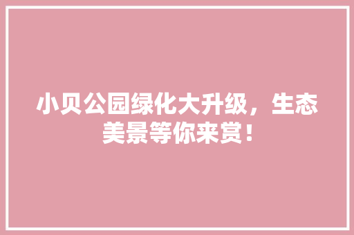 小贝公园绿化大升级，生态美景等你来赏！
