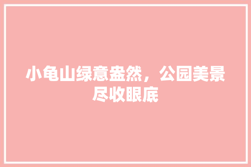 小龟山绿意盎然，公园美景尽收眼底