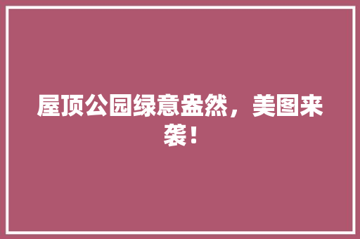 屋顶公园绿意盎然，美图来袭！