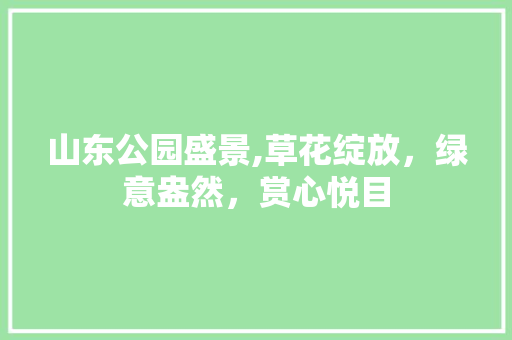 山东公园盛景,草花绽放，绿意盎然，赏心悦目