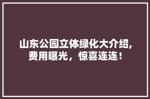 山东公园立体绿化大介绍,费用曝光，惊喜连连！