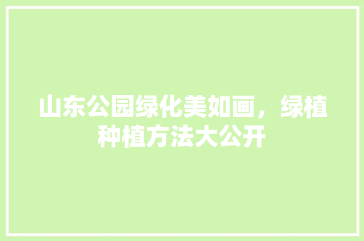 山东公园绿化美如画，绿植种植方法大公开