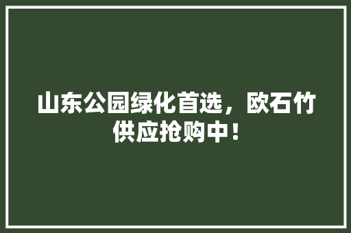 山东公园绿化首选，欧石竹供应抢购中！