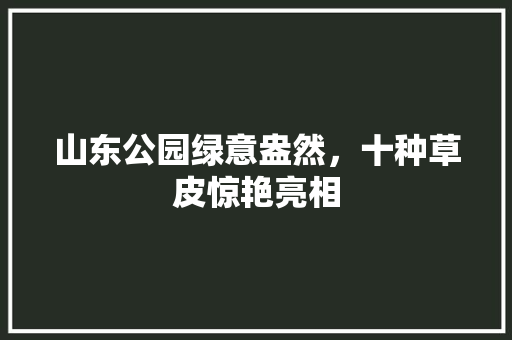 山东公园绿意盎然，十种草皮惊艳亮相