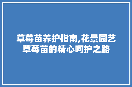 草莓苗养护指南,花景园艺草莓苗的精心呵护之路 有机育苗