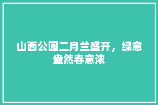 山西公园二月兰盛开，绿意盎然春意浓