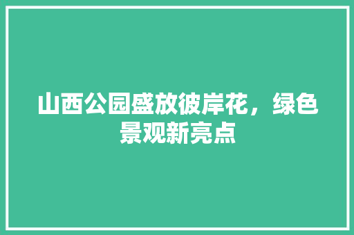 山西公园盛放彼岸花，绿色景观新亮点