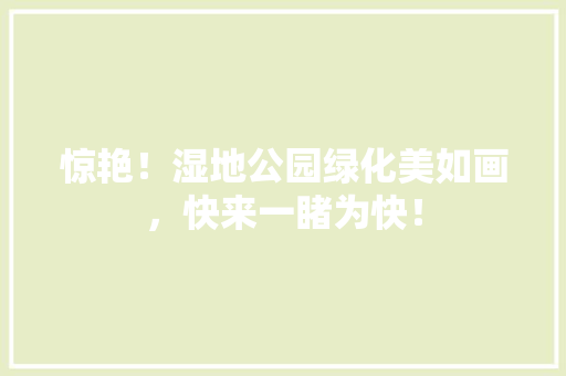 惊艳！湿地公园绿化美如画，快来一睹为快！