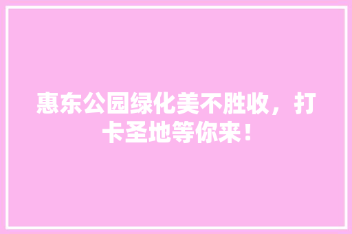 惠东公园绿化美不胜收，打卡圣地等你来！