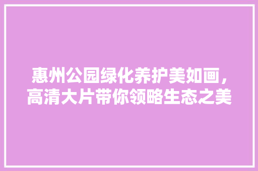 惠州公园绿化养护美如画，高清大片带你领略生态之美
